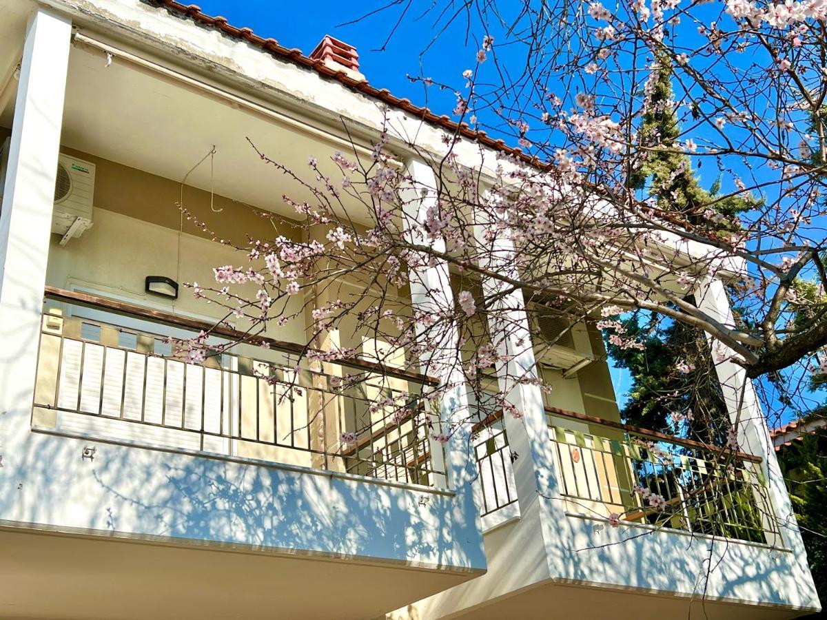 Nikiti Beach Houses Exterior foto